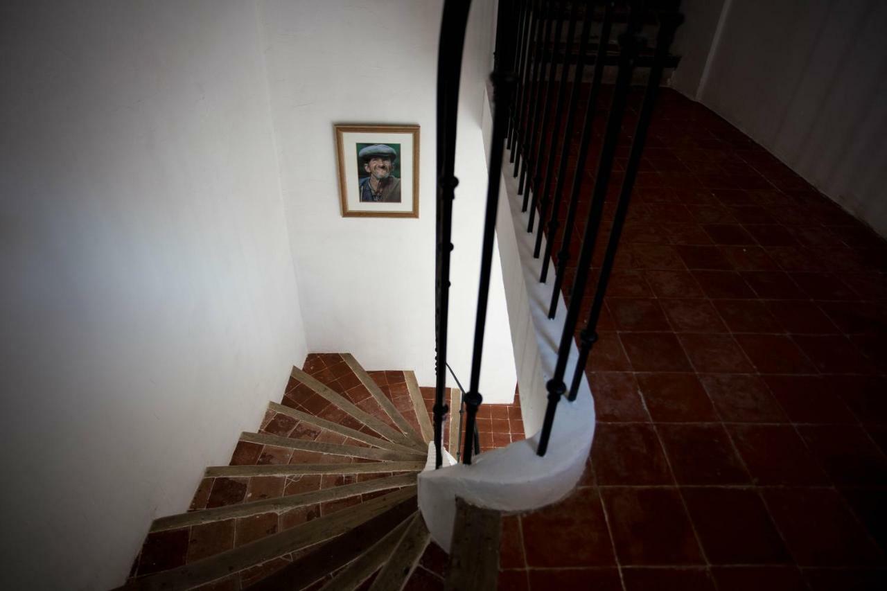 Maison D'Hotes Ventoureso Malemort-du-Comtat Exterior foto